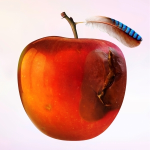 International Music - Ententraum i gruppen VINYL / Pop-Rock hos Bengans Skivbutik AB (3990445)