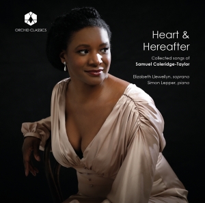 Elizabeth Llewellyn - Heart & Hereafter i gruppen CD hos Bengans Skivbutik AB (3992569)