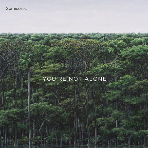 Semisonic - You're Not Alone i gruppen CD / Pop hos Bengans Skivbutik AB (3992884)