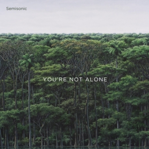 Semisonic - You're Not Alone i gruppen Labels /  hos Bengans Skivbutik AB (3992885)