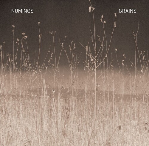 Numinos - Grains i gruppen VINYL / Rock hos Bengans Skivbutik AB (3997835)