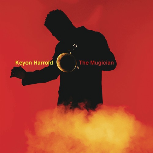 Harrold Keyon - The Mugician i gruppen Annet / hos Bengans Skivbutik AB (4001627)