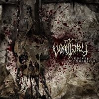 Vomitory - Carnage Euphoria i gruppen CD / Metal hos Bengans Skivbutik AB (4003581)