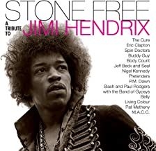 Various artists - Stone free-Tribute to Jimi Hendrix (clea i gruppen VINYL hos Bengans Skivbutik AB (4004878)