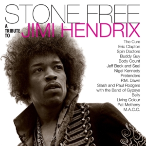 Various artists - Stone free-Tribute to Jimi Hendrix (Black & Clear Vinyl) Rocktober i gruppen VI TIPSER / Rocktober hos Bengans Skivbutik AB (4004878)