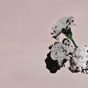 Legend John - Love In The Future (Special Edition) i gruppen Annet /  hos Bengans Skivbutik AB (4005256)