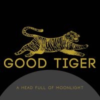 Good Tiger - A Head Full Of Moonlight i gruppen CD hos Bengans Skivbutik AB (4005731)