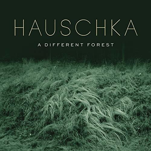 Hauschka - A Different Forest i gruppen CD / Pop hos Bengans Skivbutik AB (4007058)