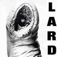 Lard - Power Of Lard i gruppen VINYL hos Bengans Skivbutik AB (4007993)