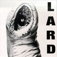 Lard - Power Of Lard i gruppen CD / Pop-Rock hos Bengans Skivbutik AB (4008085)