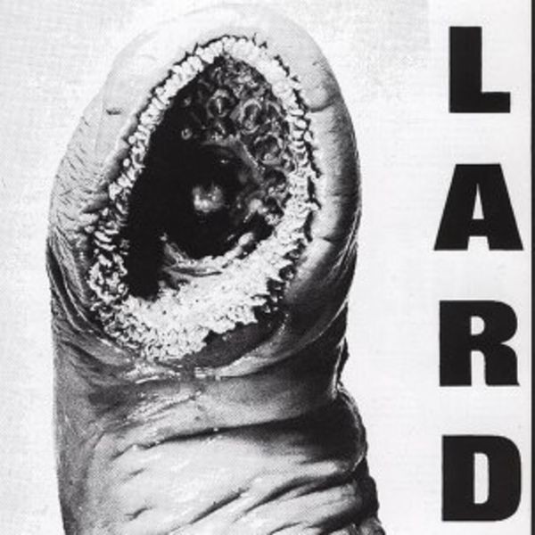 Lard - Power Of Lard i gruppen CD / Pop hos Bengans Skivbutik AB (4008085)