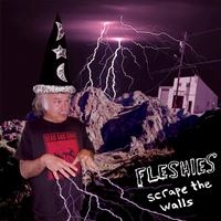 Fleshies - Scrape The Walls i gruppen CD hos Bengans Skivbutik AB (4008224)