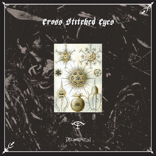 Cross Stitched Eyes - Decomposition i gruppen Annet / hos Bengans Skivbutik AB (4008258)