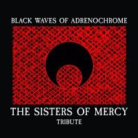 Various Artists - Sisters Of Mercy Tribute i gruppen CD hos Bengans Skivbutik AB (4010941)