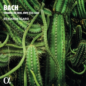 Bach Johann Sebastian - Trio Sonatas For Organ, Bwv 525-530 i gruppen CD hos Bengans Skivbutik AB (4011325)