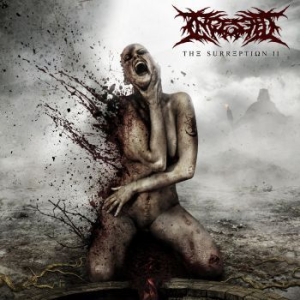 Ingested - Surreption Ii i gruppen CD hos Bengans Skivbutik AB (4012676)