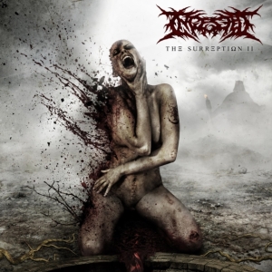 Ingested - Surreption Ii i gruppen CD / Metal hos Bengans Skivbutik AB (4012676)