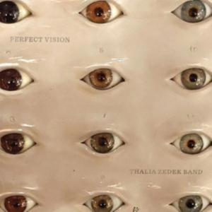 Thalia Zedek Band - Perfect Vision i gruppen CD / Pop-Rock hos Bengans Skivbutik AB (4015612)
