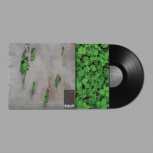 Koreless - Agor i gruppen VINYL / Dance-Techno hos Bengans Skivbutik AB (4016927)