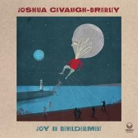 Cavanagh-Brierley Joshua - Joy In Bewilderment i gruppen CD hos Bengans Skivbutik AB (4020583)
