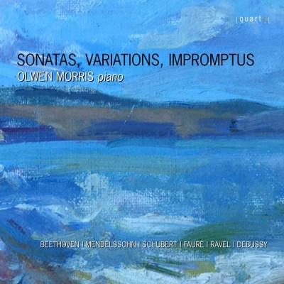 Various - Sonatas, Variations, Impromptus i gruppen Externt_Lager / Naxoslager hos Bengans Skivbutik AB (4021822)