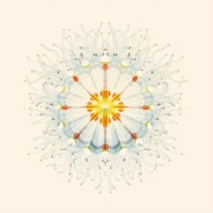 Charlie Charlie - Litte Things i gruppen VINYL / Pop-Rock hos Bengans Skivbutik AB (4023022)