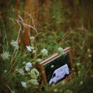 Calyx - Stay Gone i gruppen VINYL / Pop-Rock hos Bengans Skivbutik AB (4027273)