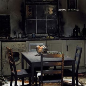 Cape Joey - A Good Year To Forget i gruppen CD hos Bengans Skivbutik AB (4029803)