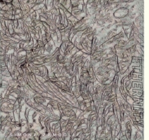 Simona Zamboli - Ethernity i gruppen VINYL / Pop-Rock hos Bengans Skivbutik AB (4029916)