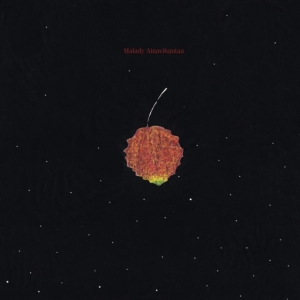 Malady - Ainavihantaa (Red) i gruppen CDON_Kommende / CDON_Kommende_VInyl hos Bengans Skivbutik AB (4030255)