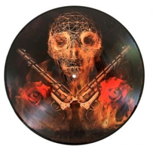 Guns N' Roses - Live In New York 1988 (Picture Disc i gruppen VINYL hos Bengans Skivbutik AB (4033568)