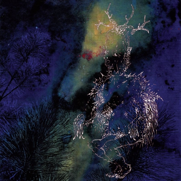 Bardo Pond - Under The Pines i gruppen VINYL / Toppselgere hos Bengans Skivbutik AB (4040039)