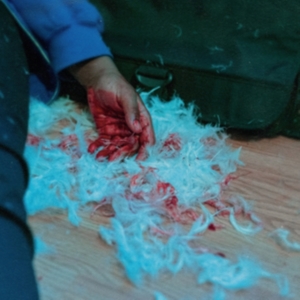 Kaonashi - Dear Lemon House, You Ruined Me: Se i gruppen CD / Metal/ Heavy metal hos Bengans Skivbutik AB (4044197)