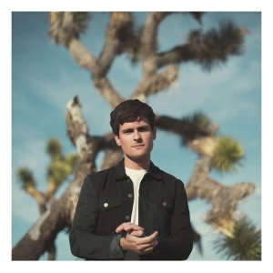 Tom Speight - Everything's Waiting For You i gruppen VINYL / Pop-Rock hos Bengans Skivbutik AB (4045301)