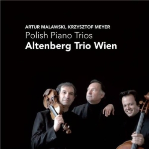 Altenberg Trio Wien - Polish Piano Trios i gruppen CD hos Bengans Skivbutik AB (4045681)