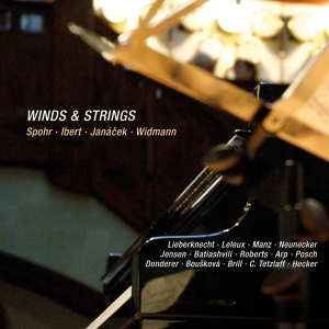 Spohr - Winds & Strings i gruppen CD hos Bengans Skivbutik AB (4046242)