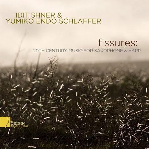 Sher Idit/Yumiko Endo Schlaffer - Fissures: 20Th Century.. i gruppen CD / Annet hos Bengans Skivbutik AB (4046244)