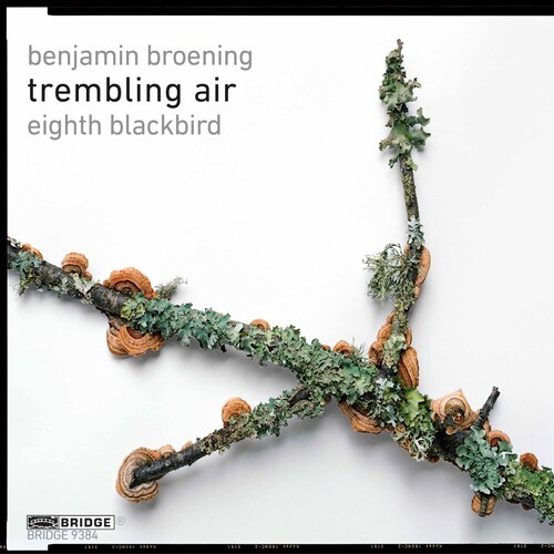 Trembling Air - Eighth Blackbird i gruppen CD / Klassisk hos Bengans Skivbutik AB (4046314)