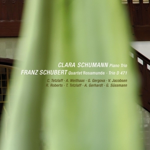 Schubert - Rosamunde Quartet/Piano Trio i gruppen CD hos Bengans Skivbutik AB (4046526)
