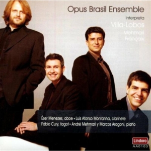 Opus Brasil Ensemble - Plays Villa-Lobos i gruppen Annet /  hos Bengans Skivbutik AB (4047975)