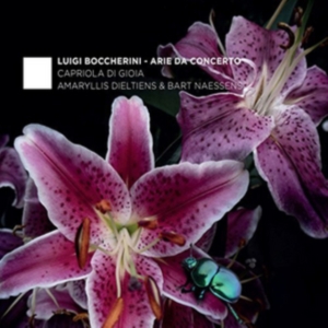 Carmina Quartet & Rolf Lisleva - Arie Da Concerto i gruppen CD / Klassisk,Annet hos Bengans Skivbutik AB (4048090)