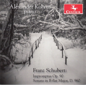 Alexander Kobrin - Franz Schubert i gruppen CD hos Bengans Skivbutik AB (4048916)
