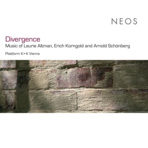 Platform K Plus K Vienna - Divergence i gruppen CD / Klassisk,Annet hos Bengans Skivbutik AB (4050119)