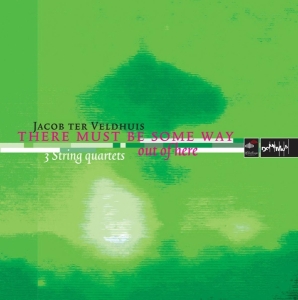 J. Ter Veldhuis - There Must Be... i gruppen CD hos Bengans Skivbutik AB (4051296)