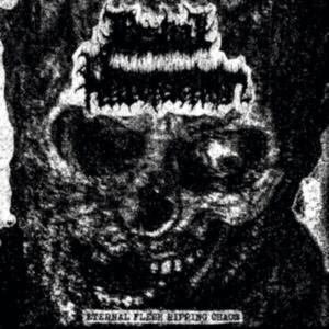 Bestial Putrefaction - Eternal Flesh Ripping Chaos i gruppen Annet /  hos Bengans Skivbutik AB (4054114)