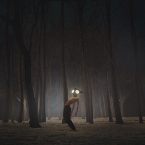 Geese - Projector i gruppen VINYL / Metal,Pop-Rock hos Bengans Skivbutik AB (4054162)