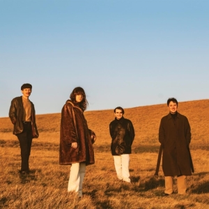 Fur - When You Walk Away i gruppen Annet /  hos Bengans Skivbutik AB (4054181)