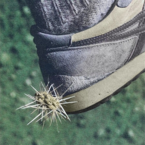 Ross From Friends - Tread i gruppen VI TIPSER / Bengans Personal tipser / Tonka's Playlist For Now hos Bengans Skivbutik AB (4054401)