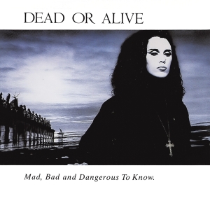 Dead Or Alive - Mad, Bad And Dangerous To Know i gruppen CD hos Bengans Skivbutik AB (4054567)