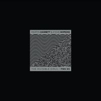 HANNETT MARTIN AND STEVE HOPKINS - INVISIBLE GIRLS (LP+DVD) i gruppen VINYL / Pop-Rock hos Bengans Skivbutik AB (4056715)